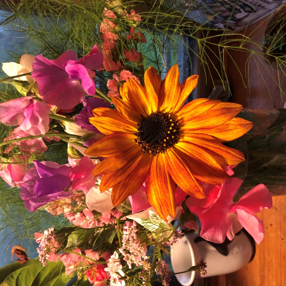 Meet your Posher, Sandee